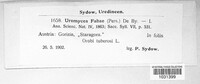 Uromyces viciae-fabae var. viciae-fabae image